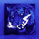 Tiger 2.webp