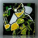 Robin (0).webp