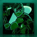 Robin (2).webp